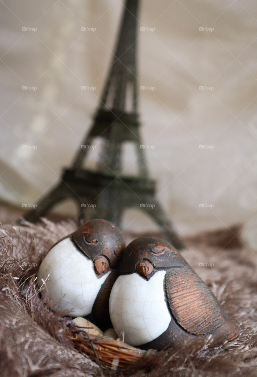 little birds on Paris