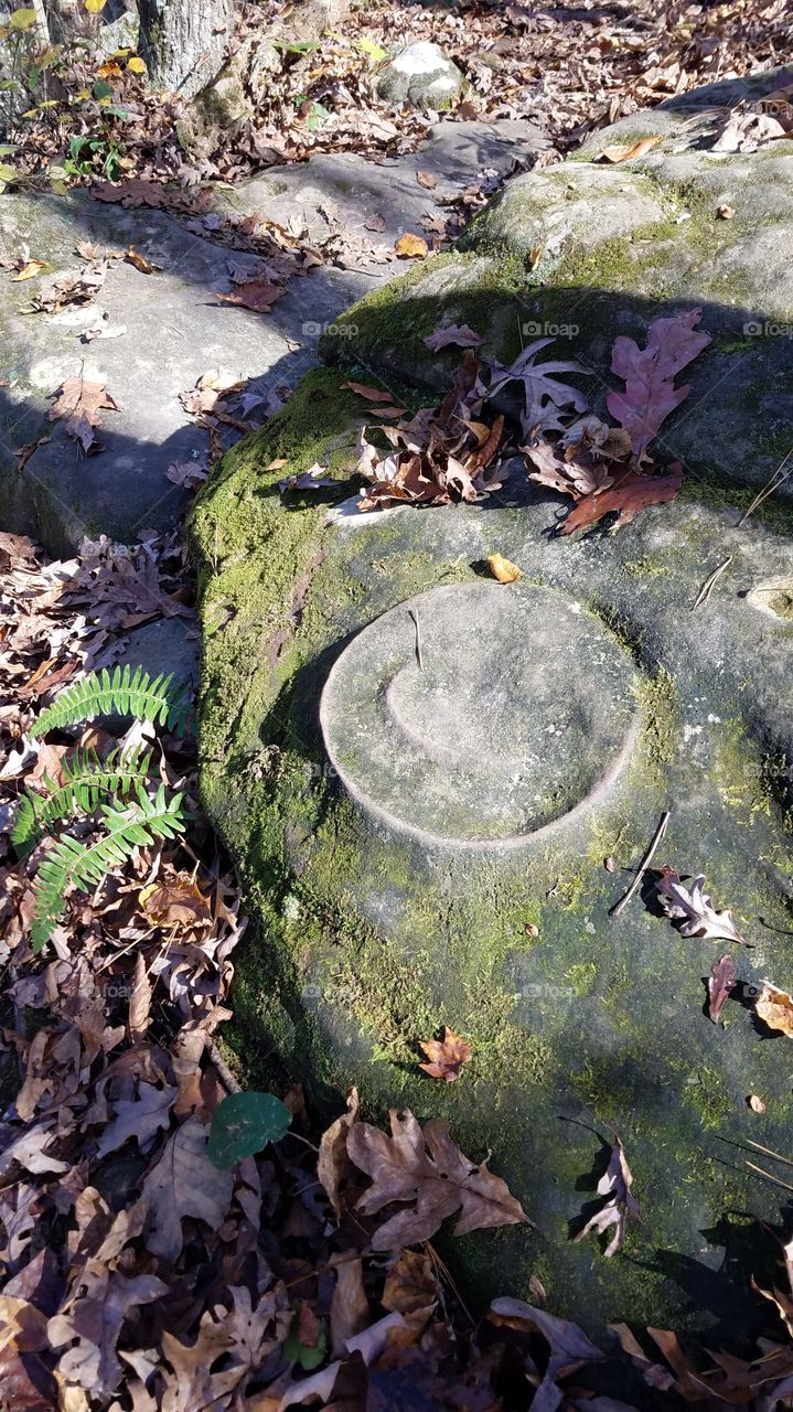 Fossil rock round
