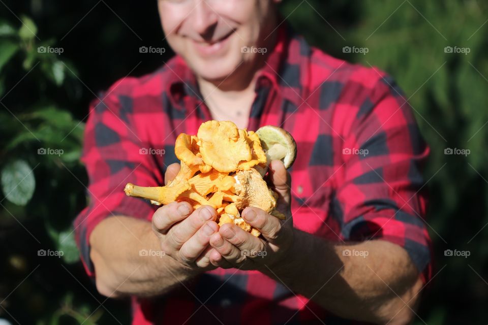 Chanterelles, mushrooms