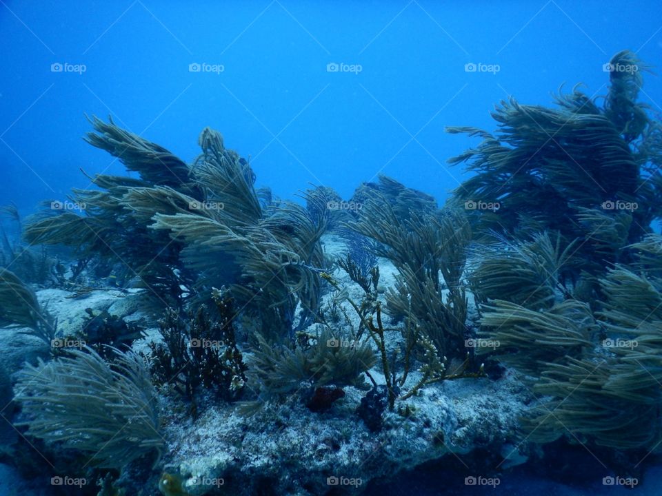 Underwater Winds