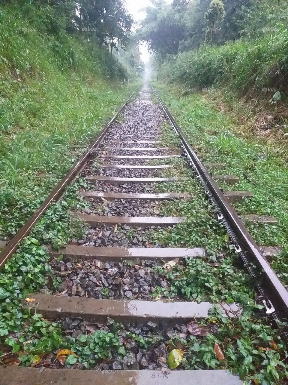 beautiful long railroad