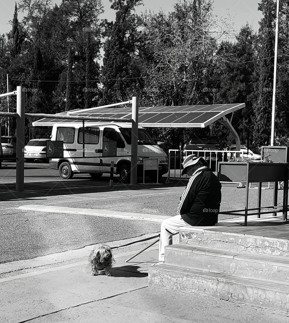 el abuelo y su perro