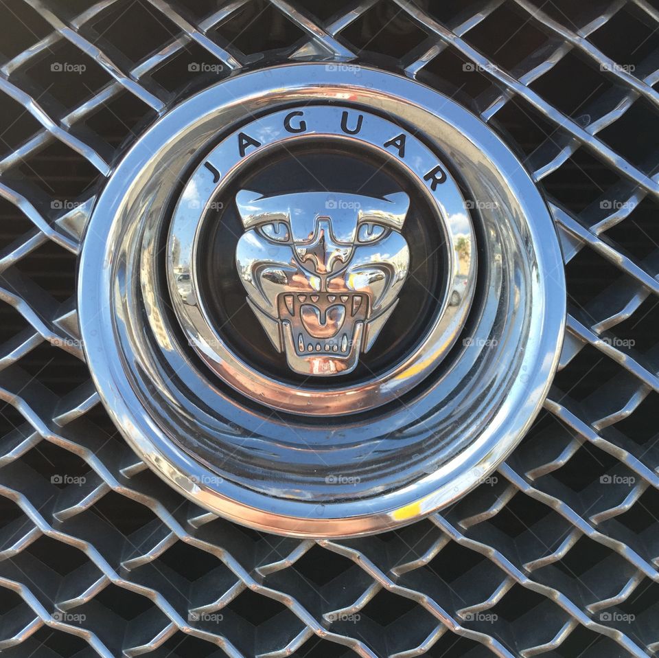 Jaguar emblem 