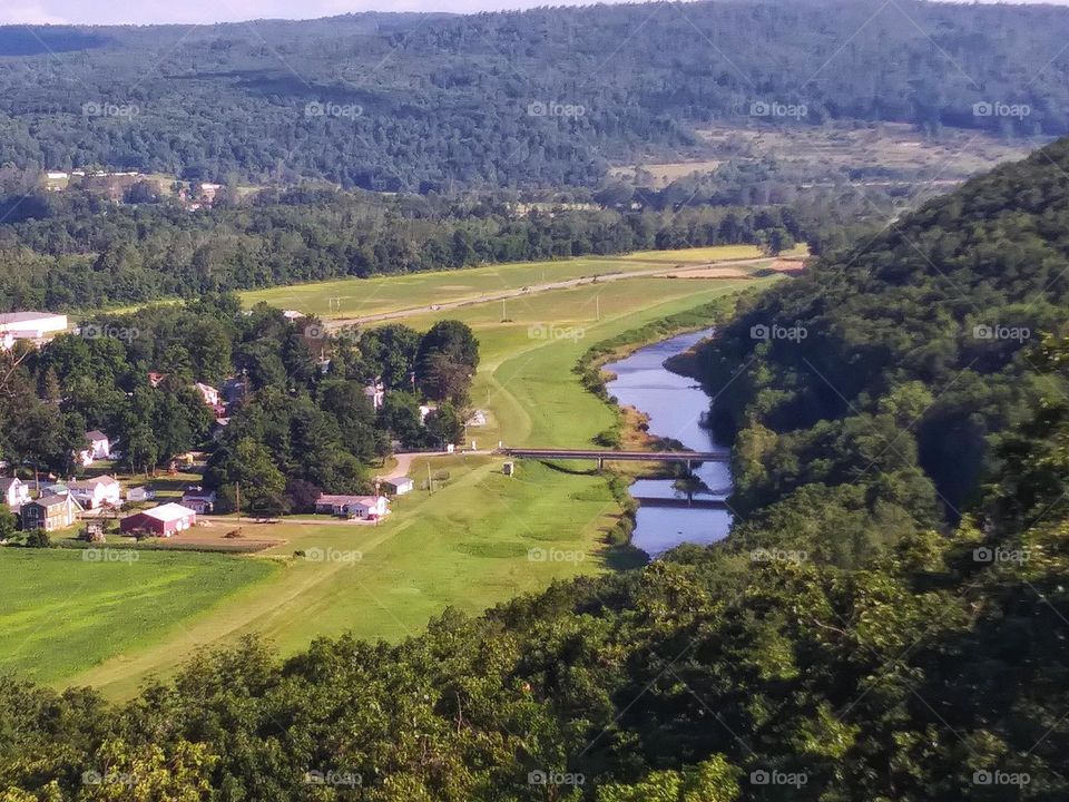 Overlooking trees to a bridge in Pennsylvania