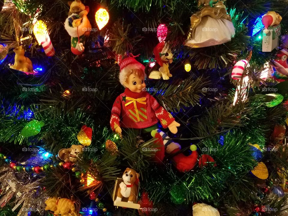 Elf in my tree