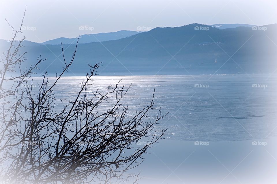 Shuswap Lake Spring