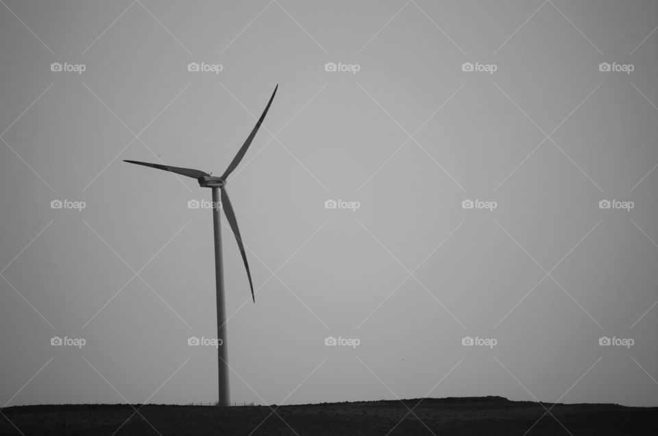 wind turbine