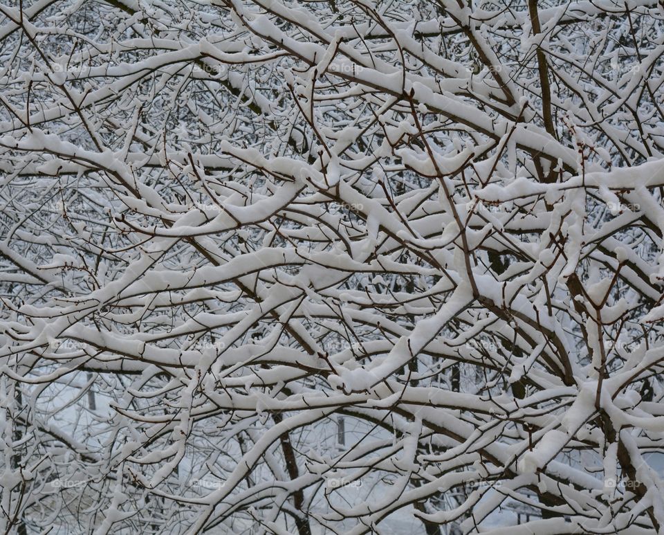 Desktop, Frost, Abstract, Pattern, Texture