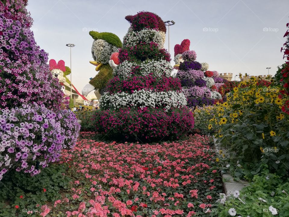 Dubai Miracle Garden