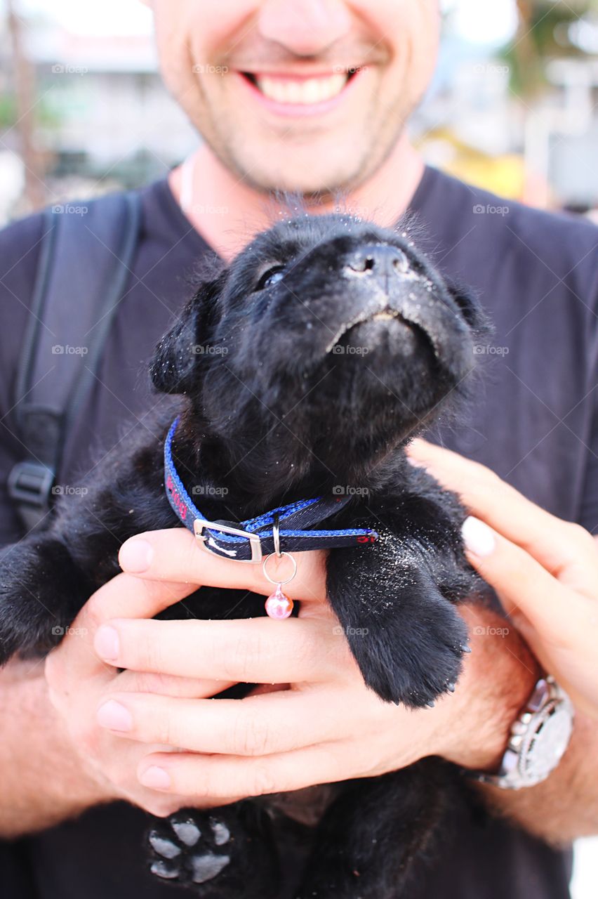 DOG RUNNING SYMBOL ┈┈╱▏┈┈┈┈┈╱▔▔▔▔╲┈ ┈┈▏▏┈┈┈┈┈▏╲▕▋▕▋▏ ┈┈╲╲┈┈┈┈┈▏┈▏┈▔▔▔▆ ┈┈┈╲▔▔▔▔▔╲╱┈╰┳┳┳╯ ╱╲╱╲▏┈┈┈┈┈┈▕▔╰━╯ ▔╲╲╱╱▔╱▔▔╲╲╲╲┈┈┈ ┈┈╲╱╲╱┈┈┈┈╲╲▂╲▂┈ ┈┈┈┈┈┈┈┈┈┈┈╲╱╲╱┈ puppy