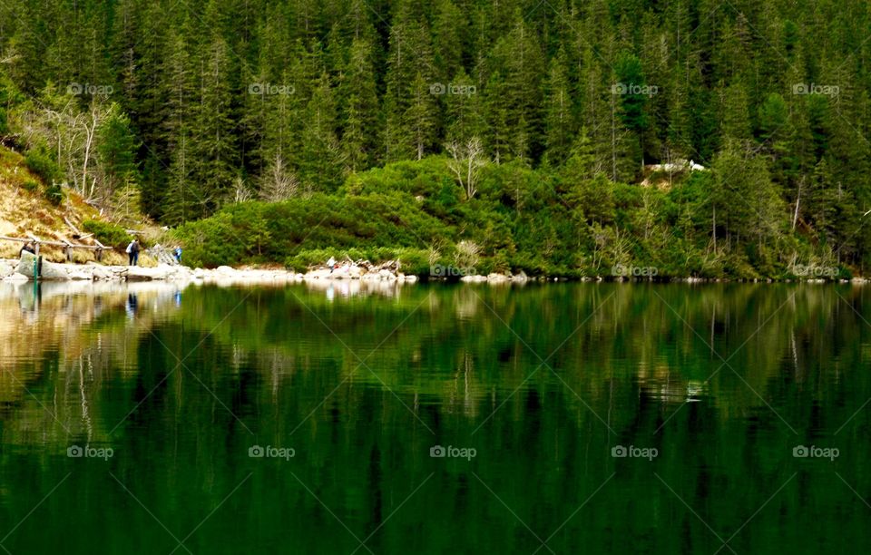 Lake  view in Poland 