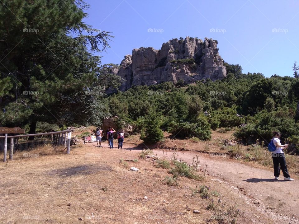 Battle: Countryside vs City