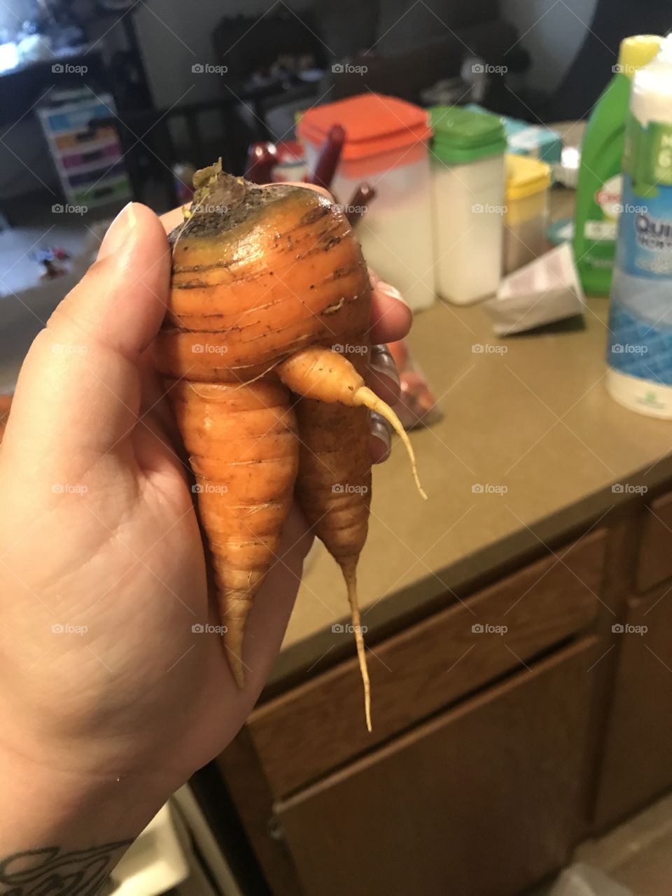 Carrot with a problem