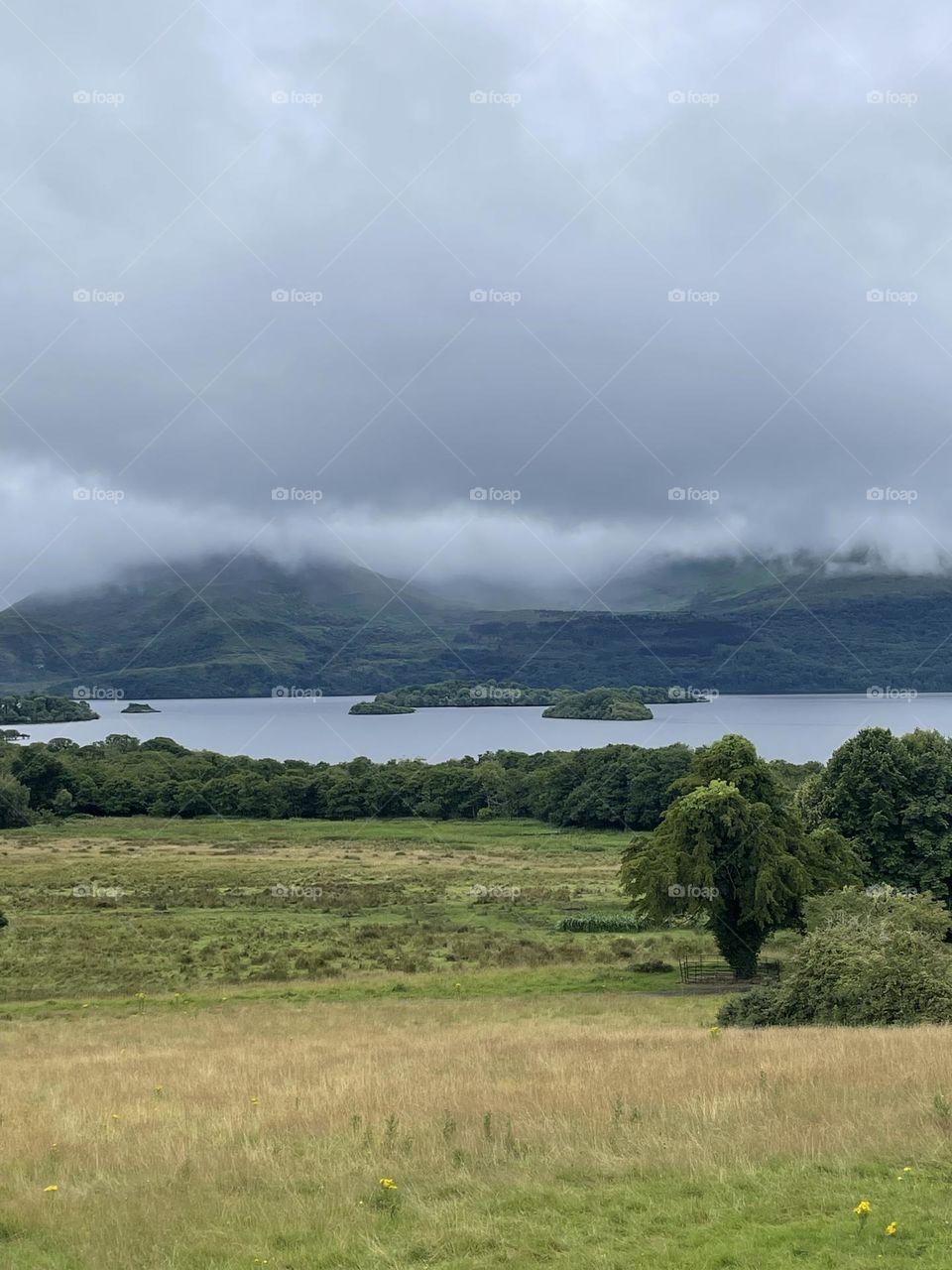 View from Killarney National Park 