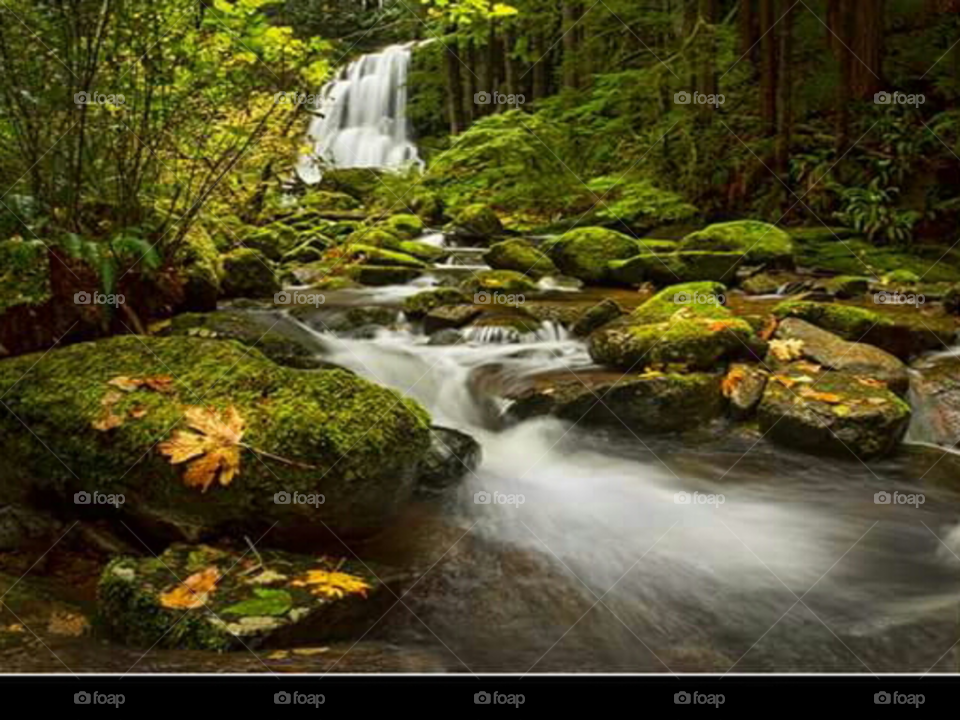waterfall stream