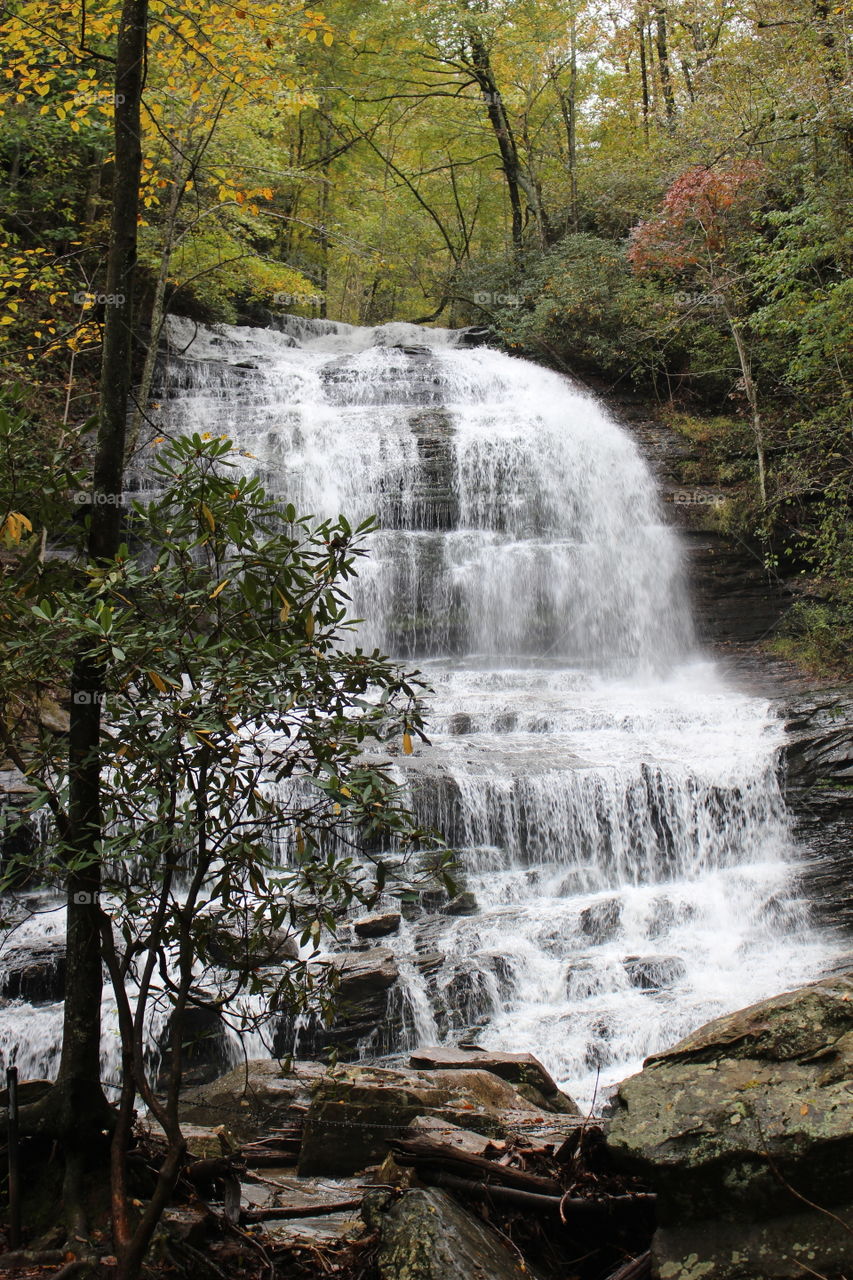 Pearson's Falls