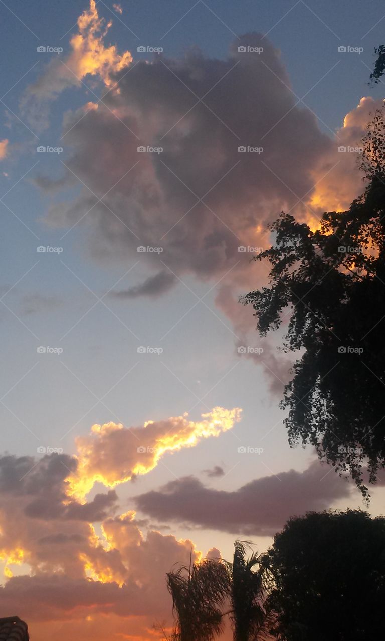 A  Three  Dimensional  where 
        Are   My   Glasses ?   
I have seen with my view master
Three D  pictures in my time.
They looked so cool, as , i turned 
The wheel, another picture to
Reveal, places that had me feel,
Just like i was there.  From the 
Rocky Mountains to a 
Market Square , somewhere
Around the globe, i was able 
To see, anywhere and everywhere my view master 
Would take me .   This picture
Here is just like those that 
Reminded me, when i was 
Younger because the only ones
That i had, were people, places,
And scenic views.  A catolog of
View Master Views .  In fact, the 
Very first cartoon ones that i 
Got were The Flintstones . 
That ought to give you a clue,
Just how old i am, not look
Mind you. But back to my pic
This just reminded me to go
Back a bit, in time.  Plus i am 
Just tinkled Pink .   Because I 
Was able to capture a picture 
With a Three Dimensional wink.