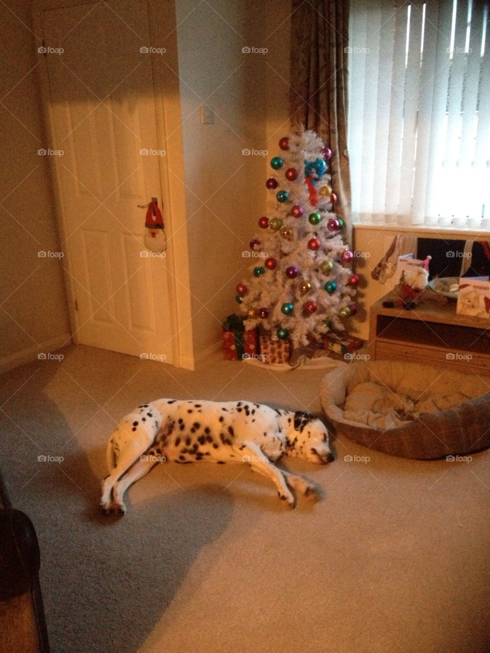 happy lazy dalmatian tigger dog by Rayuk81