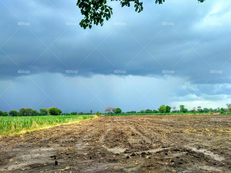 A cloudy scene of of weather at farm in a rainy season...