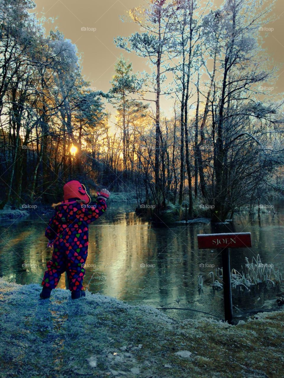 sun forrest snow winter by hslysne