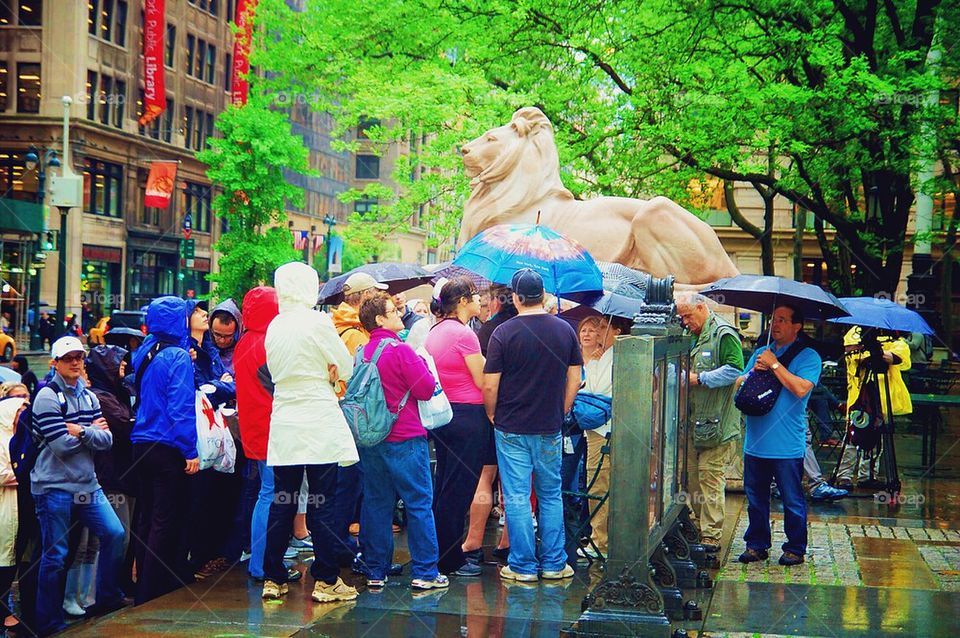 Rain in New York City