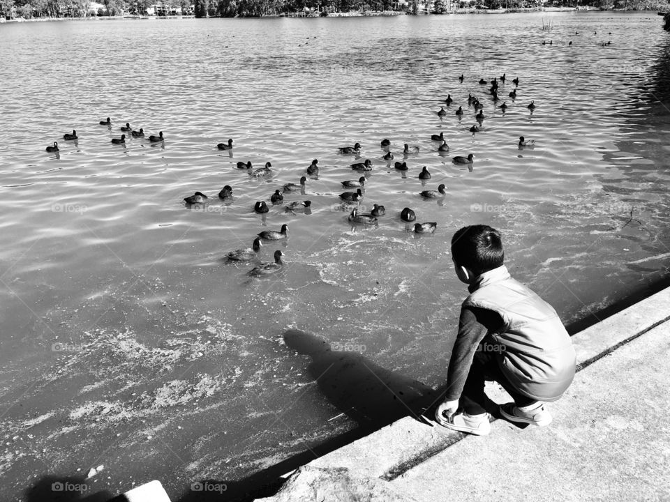 Nephew Enjoying the ducks