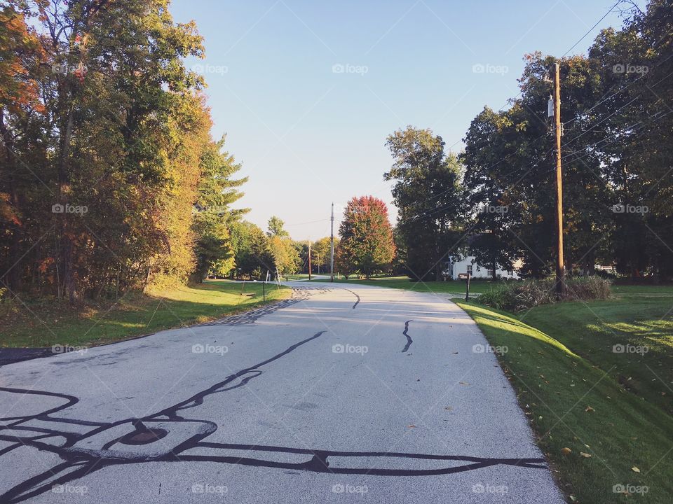 This photo was taken coming around my favorite bend, especially gorgeous in the fall weather. 