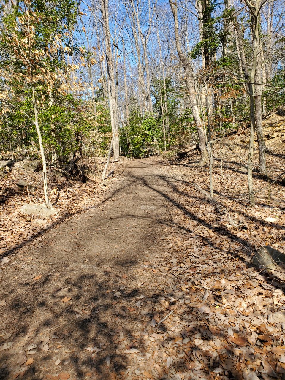 walking trail in a local park
