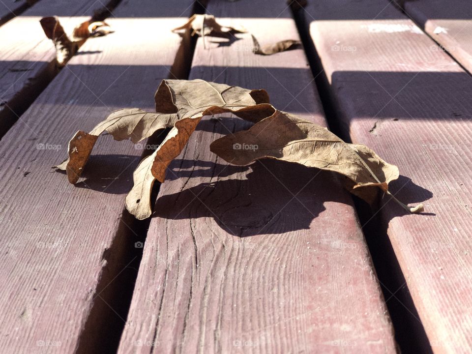 Closeup of dry leaf and shadows on wooden porch 