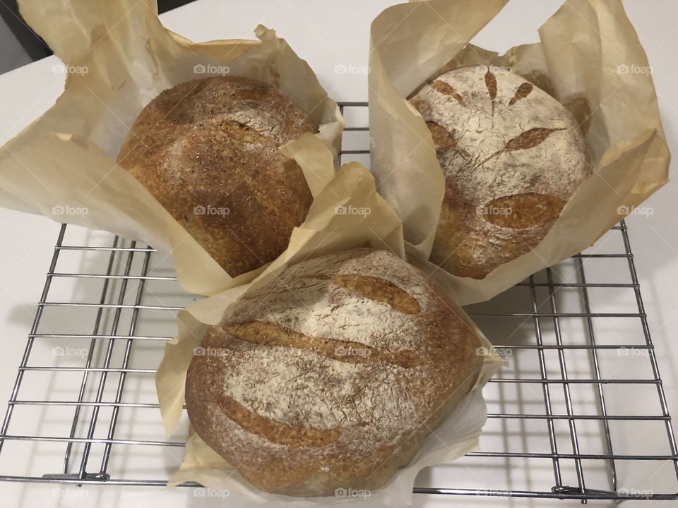 Sourdough bread first attempt