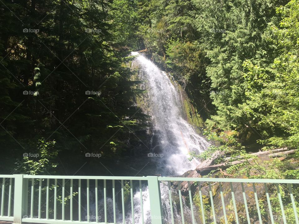 Beautiful waterfall on the way to Mount Rainier 