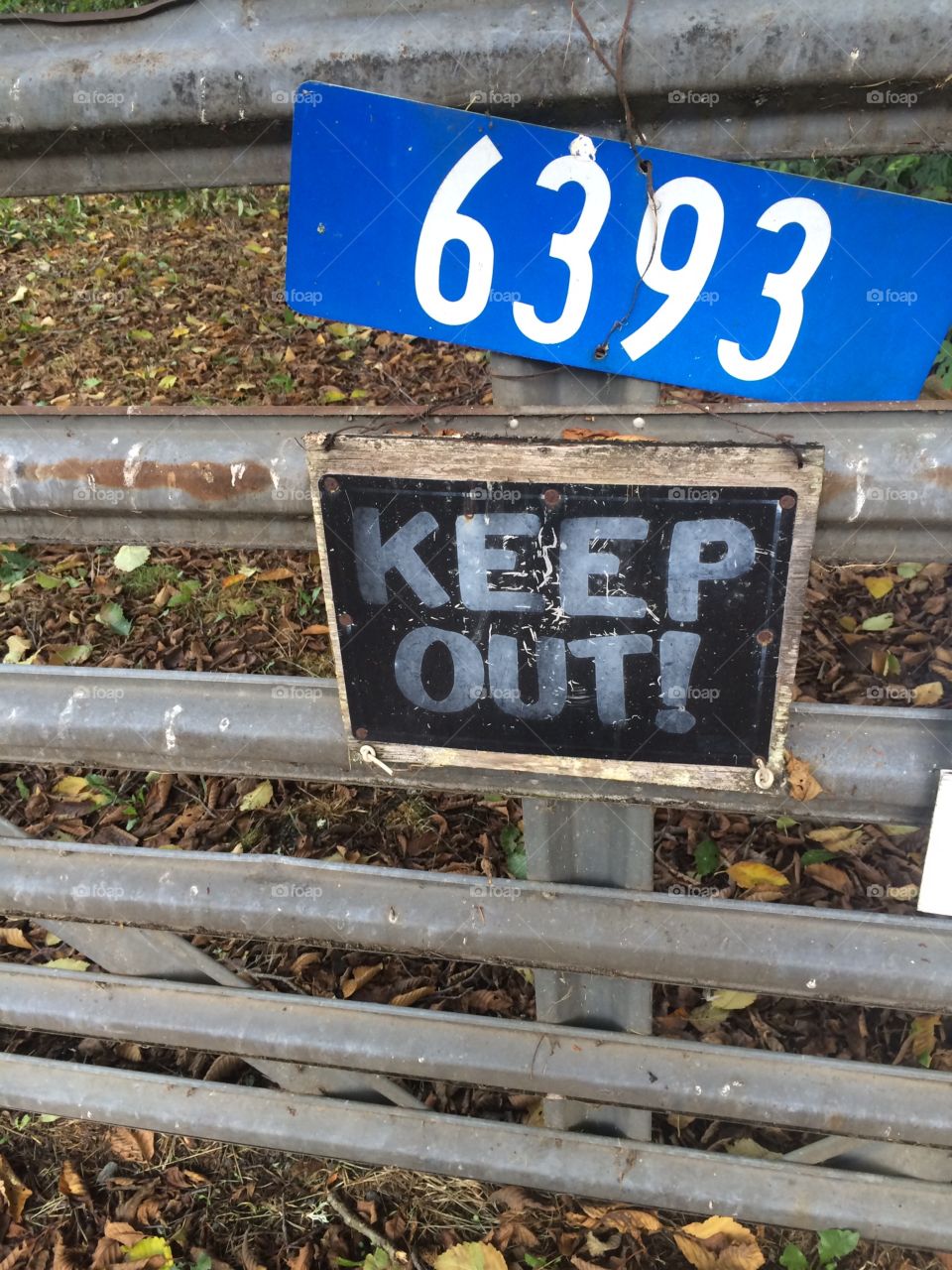 Keep out. . Found this abandoned property. Very excited to wander 