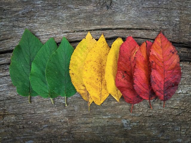 Color gradient