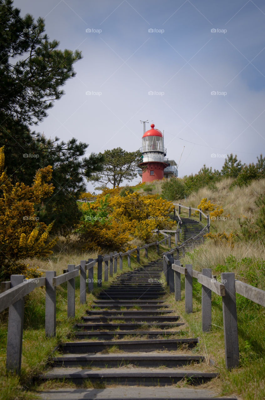 Path to lighthouse