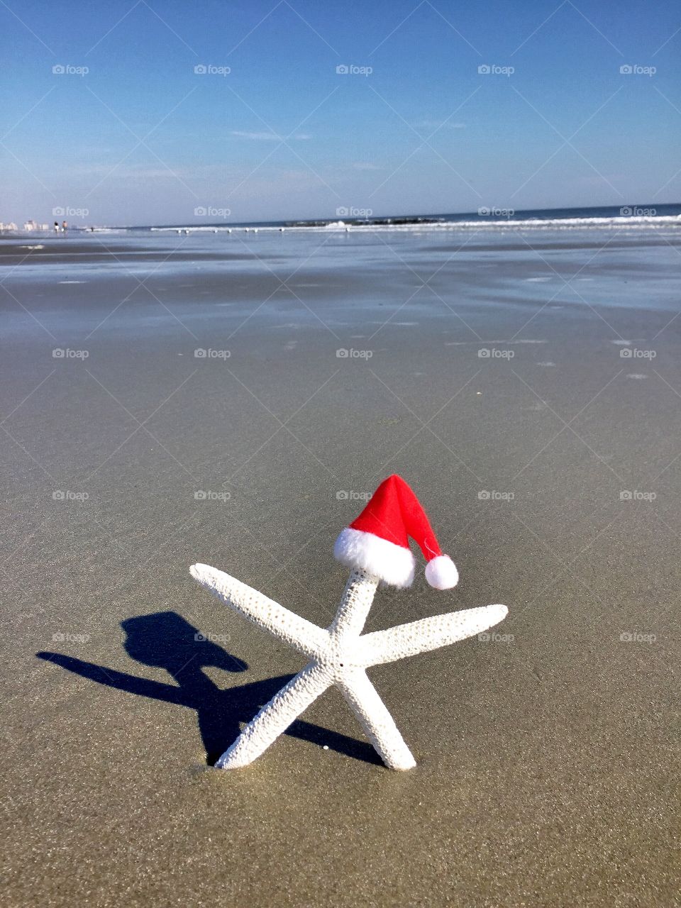 Christmas concept. White starfish on the beach with Santa hat on.