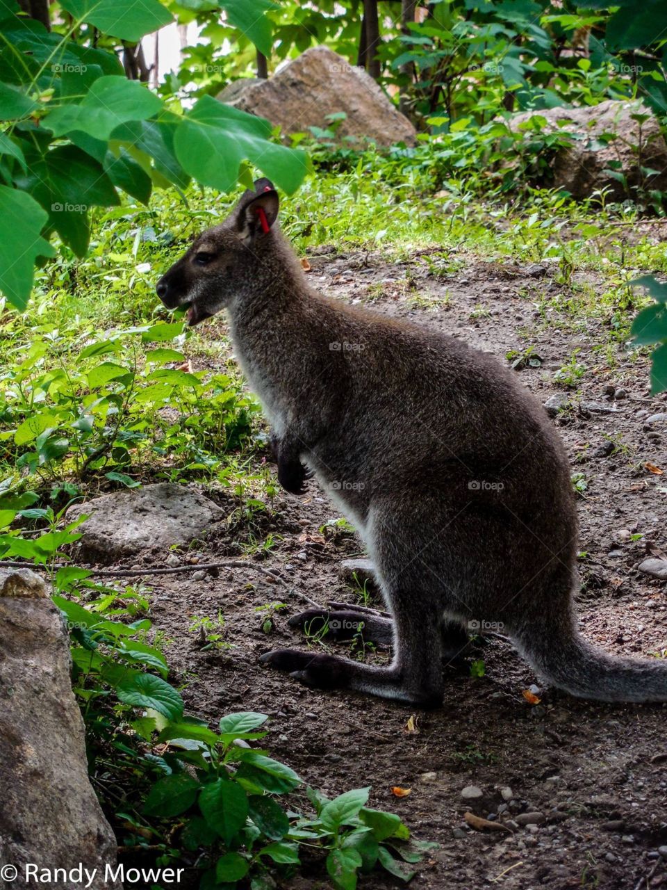 Rodger Williams Park Zoo
Providence RI