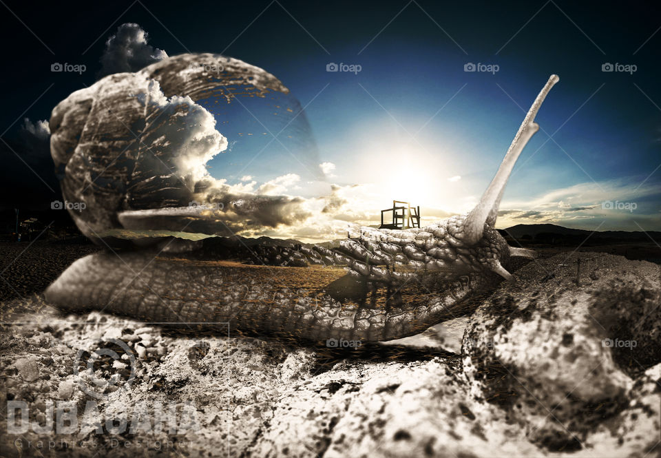 #fantacy #manipulation #sky #Environment #Effect #design  #photomixing #ps #editing #photoshop #GraphicDesign #Edits