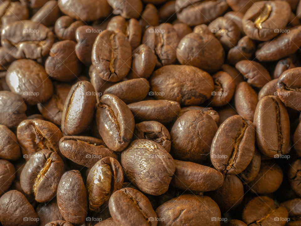 Full frame view of coffee beans