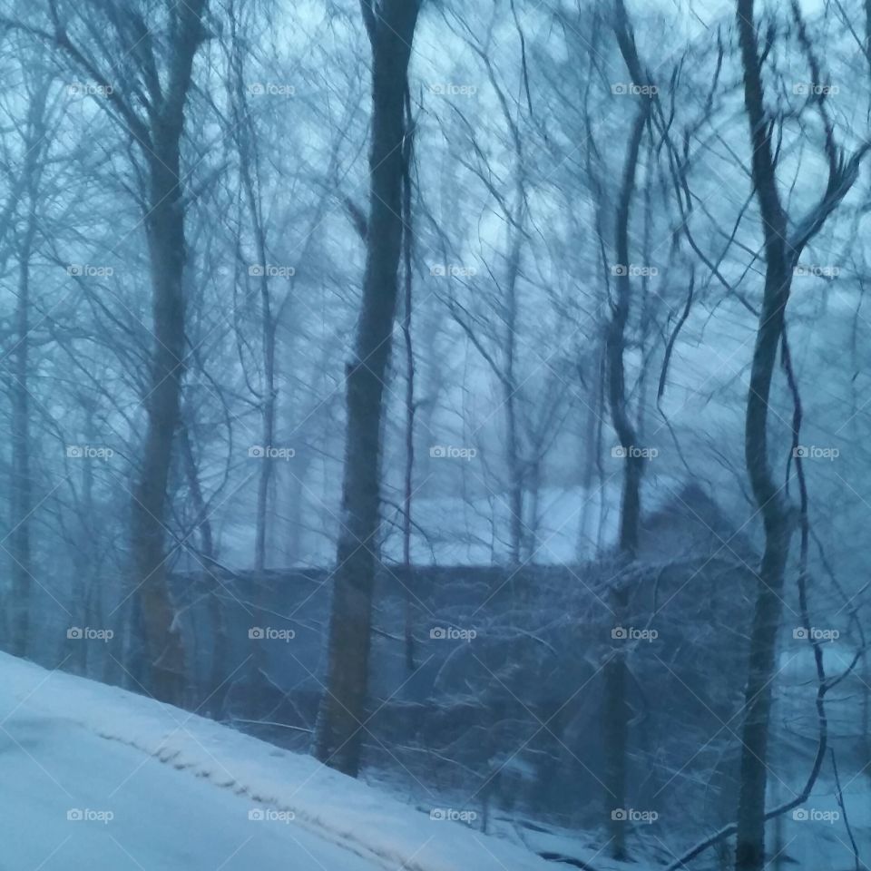 Tennessee Winter