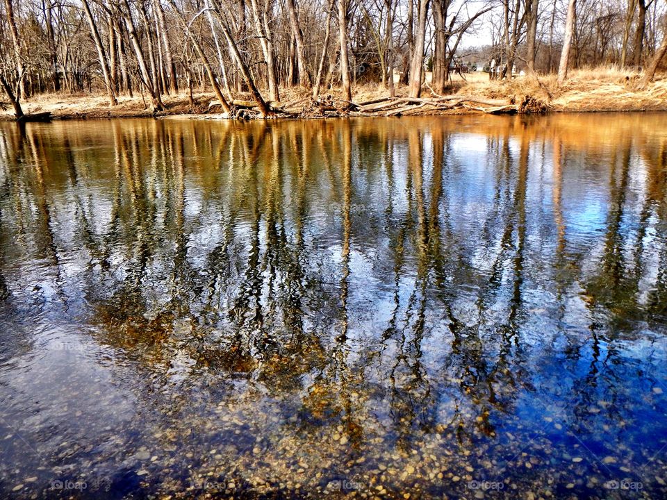 Reflection off the water