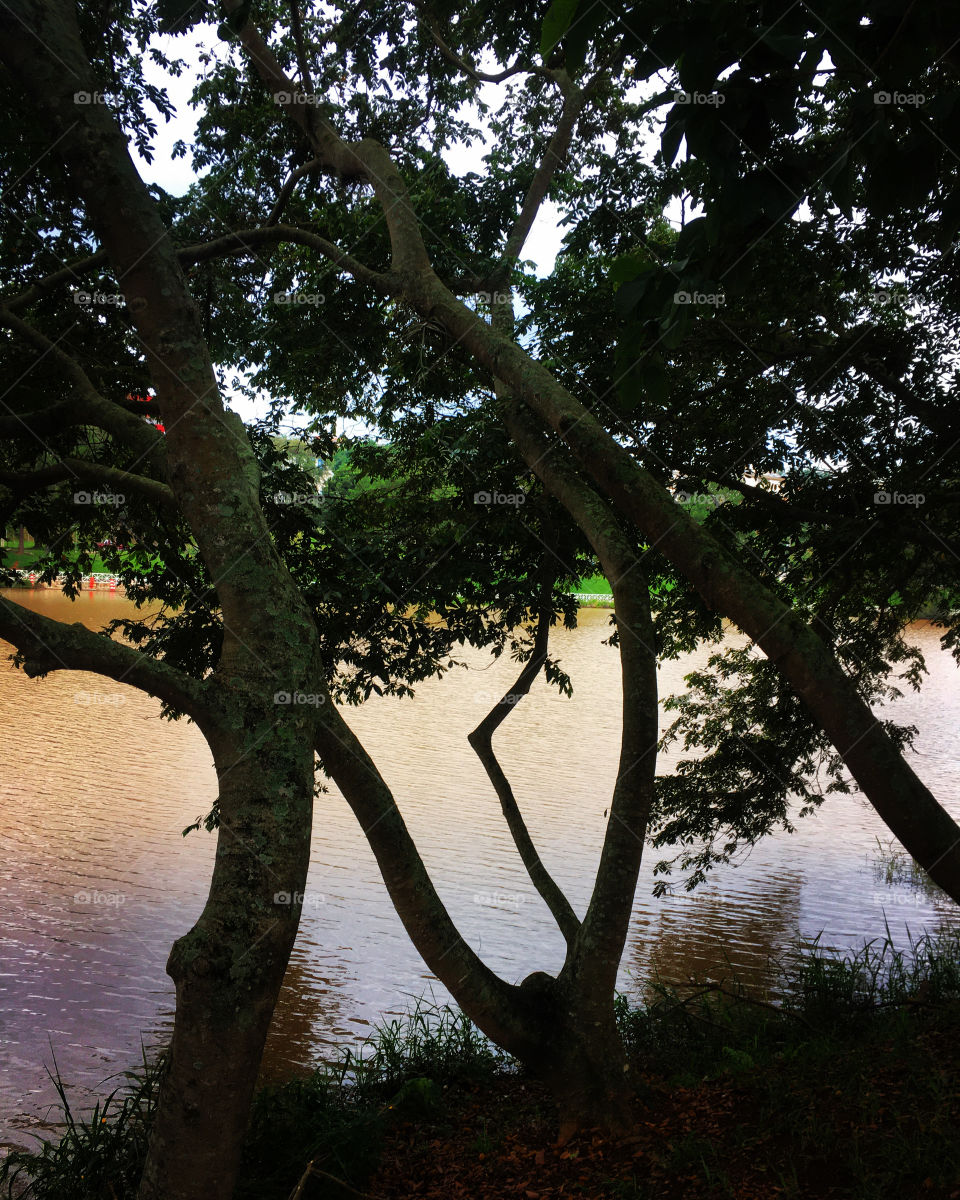 Uma boa caminhada pela manhã, para ser perfeita, precisa de: espaço seguro, tranquilidade e uma bonita paisagem.
Encontrei tudo isso aqui no Lago do Taboão (em Bragança Paulista- SP). 