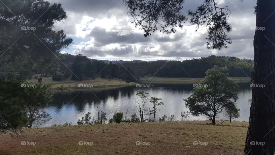 Huon