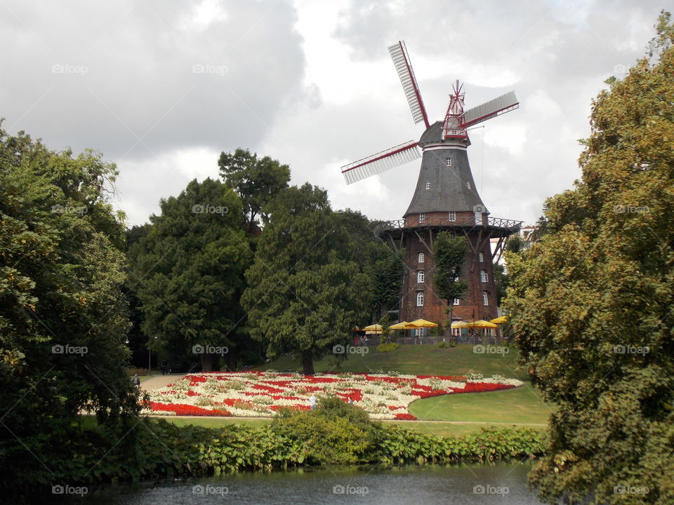 Flowers in Bremen