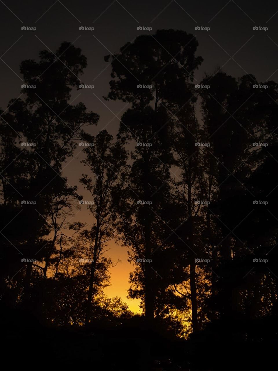 Anoitecer. Por do sol.