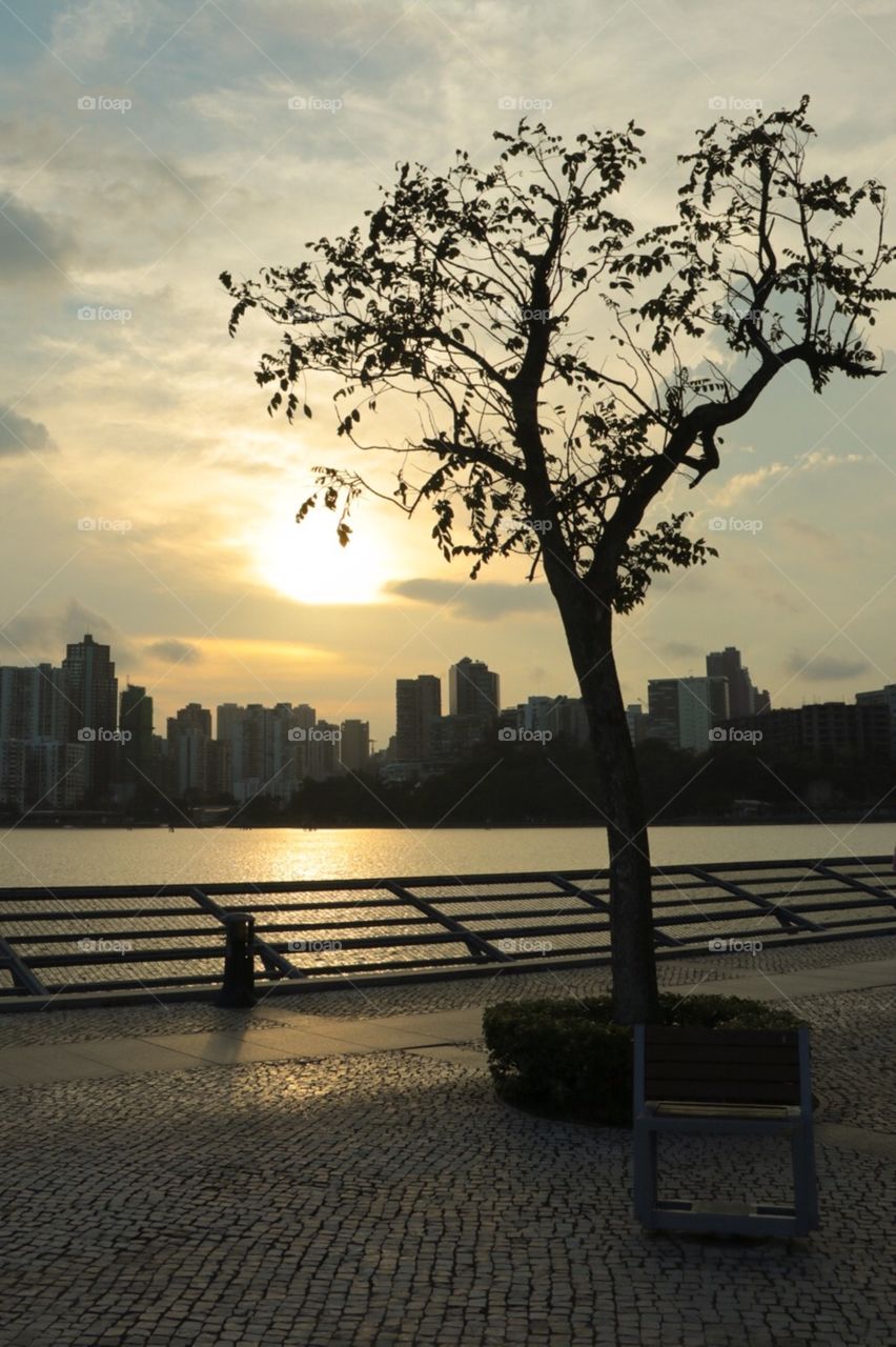 Sunset at the reservoir park, with a lone tree composition