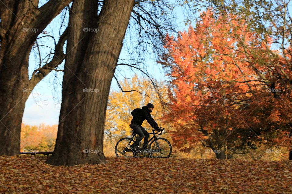 Man biking in autumn