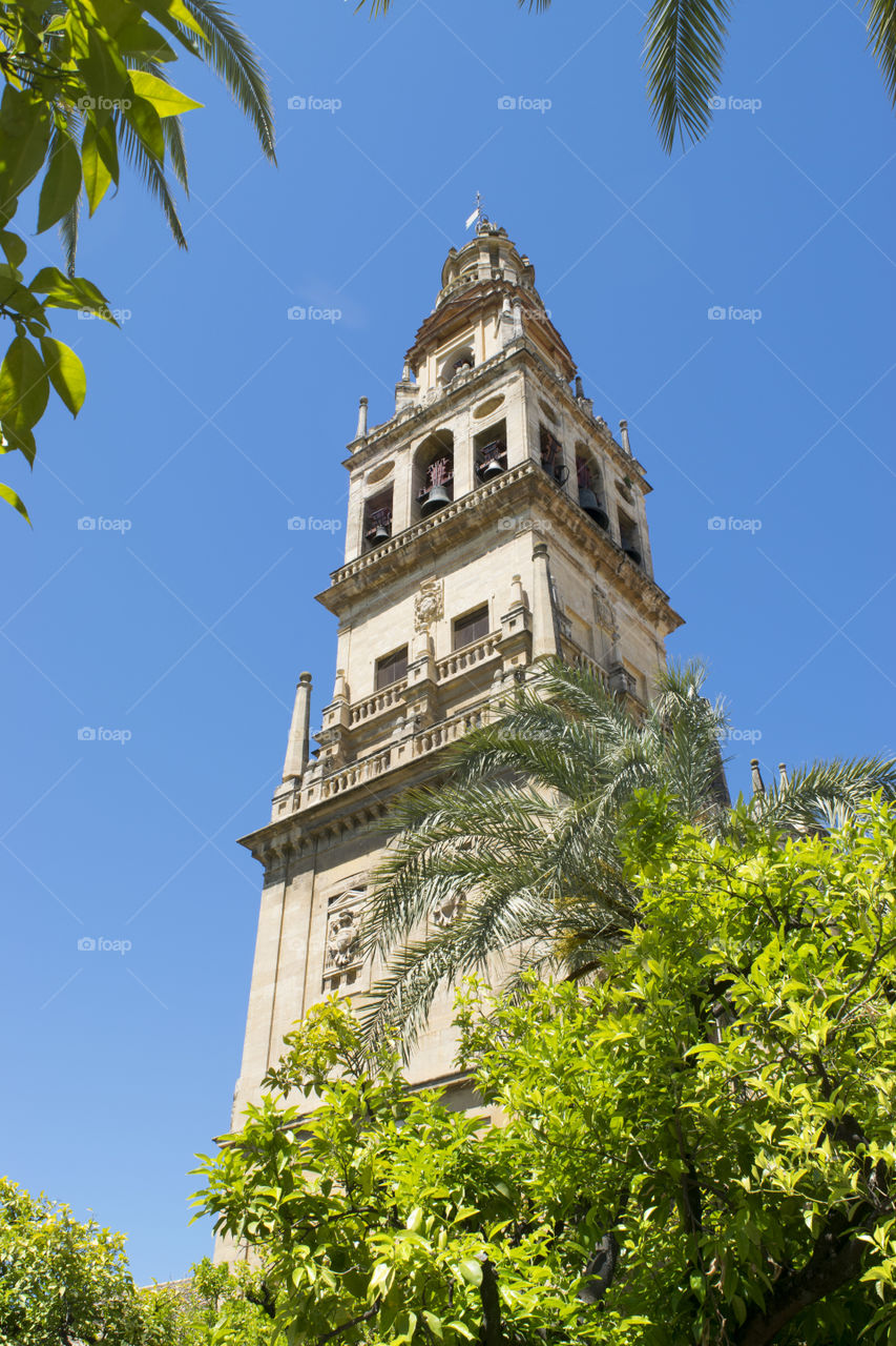 Inside this structure you can visit the old tower of the great Mosque that remains almost intact.