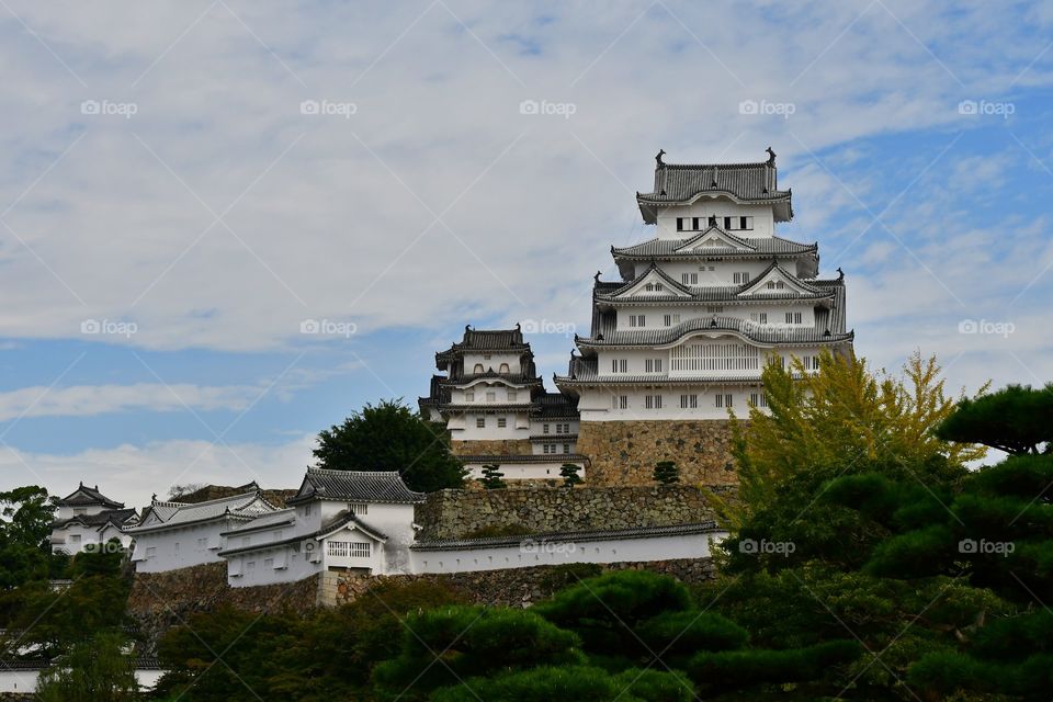 Ancient castle, Japan