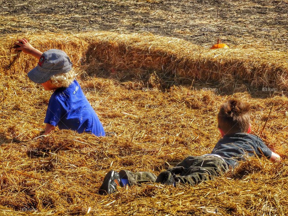 Boys Playing In A Haystack