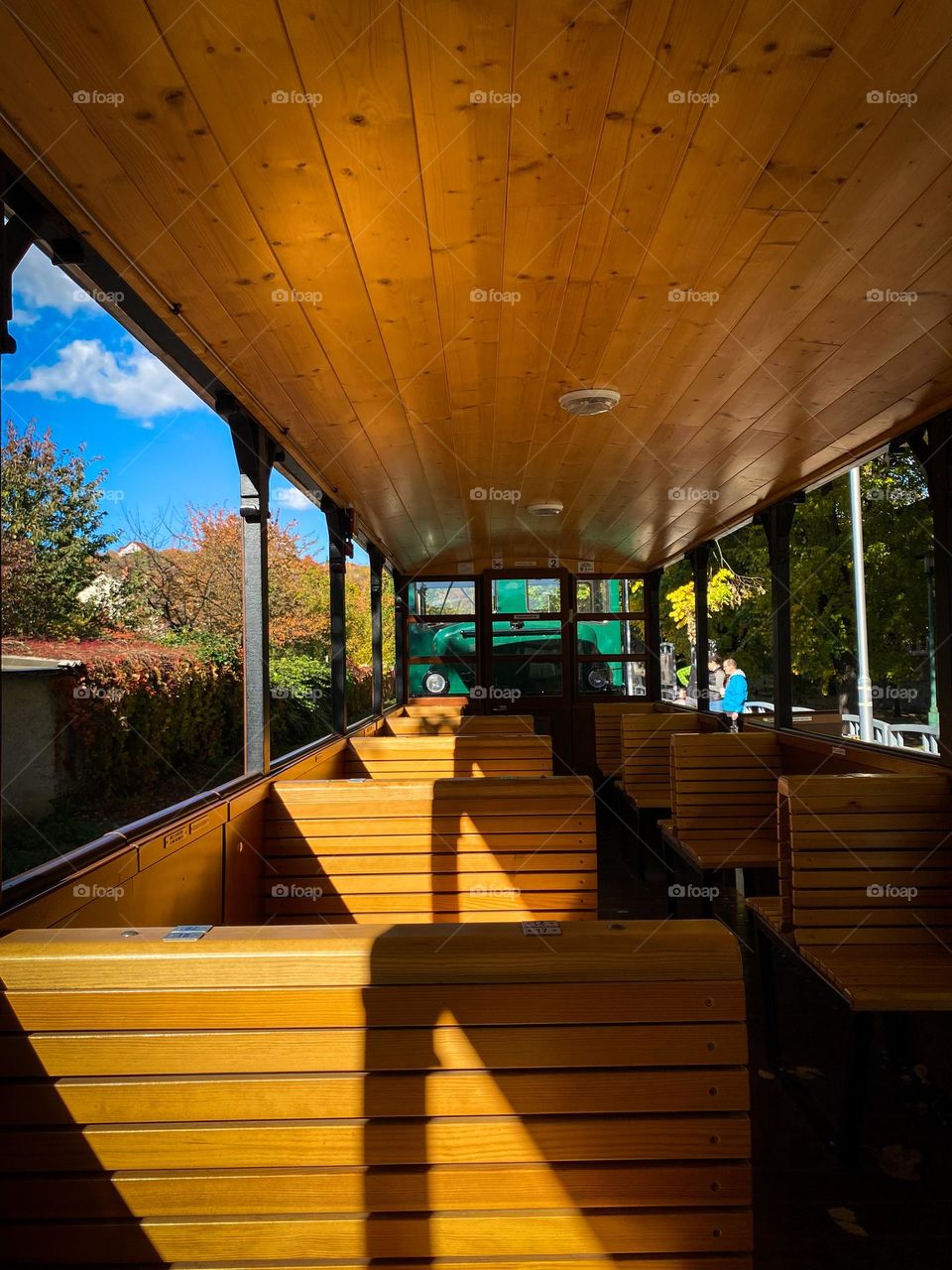 Perfect combination of geometry and autumn sun is captured in the forest train🌙